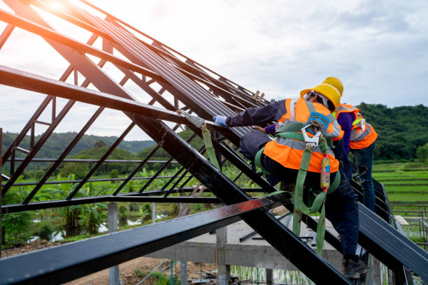 Two workers on a roof, fixing metal panels with the sun shining brightly in the background, showcasing their repair services.