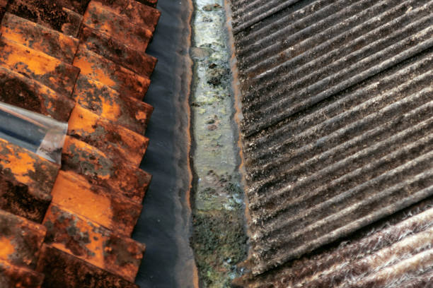 red roof with a metal covering and a window, depicting concerns regarding the use of metal roofs.